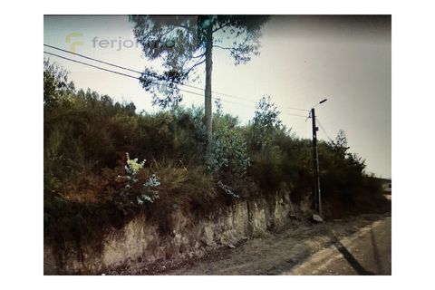 Helårsgrund i Lousa, Coimbra, Lousa - € 260.000 | Ref: 4377 - foto 2