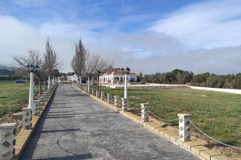 Villa i Sax, Alicante, Sax - € 460.000 | Ref: MW6054 - foto 46