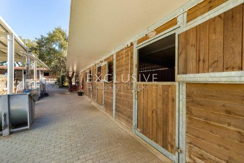 Villa i Lagoa, Faro, Lagoa - € 5.800.000 | Ref: EAV-3539 - foto 9