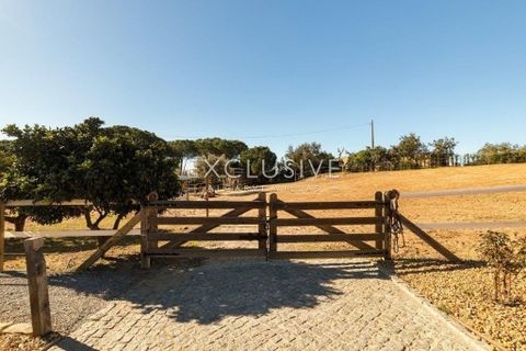Villa i Lagoa, Faro, Lagoa - € 5.800.000 | Ref: EAV-3539 - foto 13