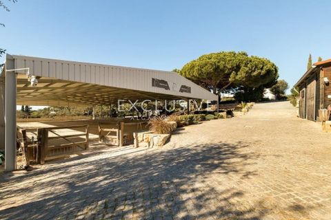 Villa i Lagoa, Faro, Lagoa - € 5.800.000 | Ref: EAV-3539 - foto 31