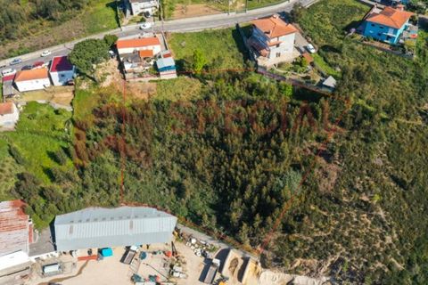Helårsgrund i Melres e Medas, Porto, Melres e Medas - € 110.000 | Ref: TER_979 - foto 4