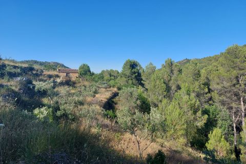 Tomt i Jalon, Alicante, Jalon - € 149 000 | Ref: 001252 - foto 6