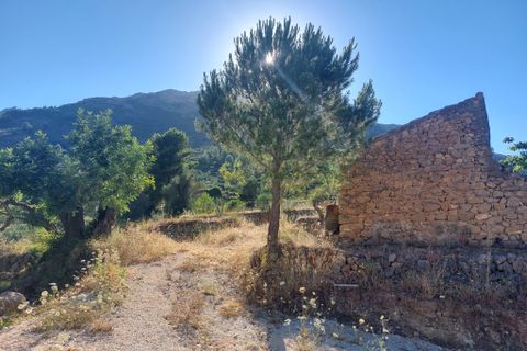 Tomt i Jalon, Alicante, Jalon - € 149 000 | Ref: 001252 - foto 8