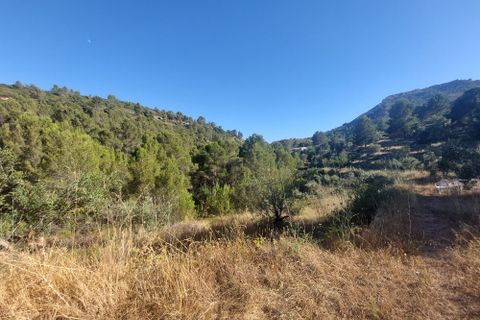 Tomt i Jalon, Alicante, Jalon - € 149 000 | Ref: 001252 - foto 10