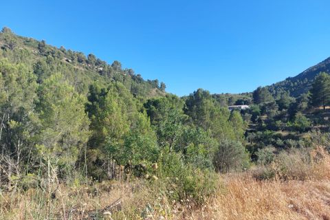 Tomt i Jalon, Alicante, Jalon - € 149 000 | Ref: 001252 - foto 11