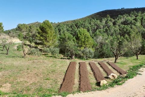 Tomt i Jalon, Alicante, Jalon - € 149 000 | Ref: 001252 - foto 12