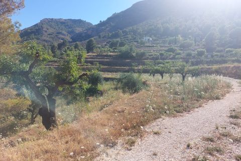 Tomt i Jalon, Alicante, Jalon - € 149 000 | Ref: 001252 - foto 13