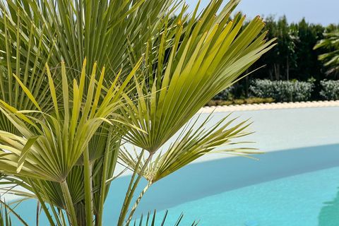 Villa a Benahavis, Malaga, Benahavis - € 9.400.000 | Ref: 428-01164P - foto 43