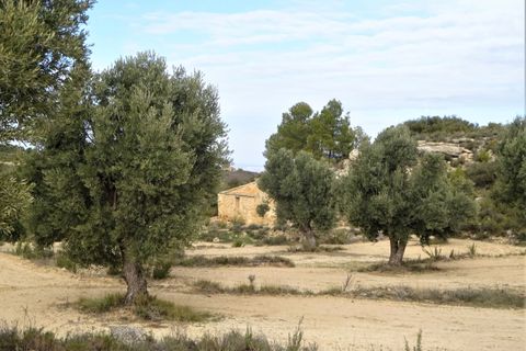 Leilighet i Maella, Zaragoza, Maella - € 13 500 | Ref: 0631 - foto 15