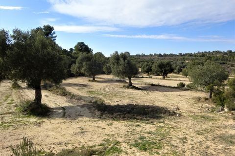 Leilighet i Maella, Zaragoza, Maella - € 13 500 | Ref: 0631 - foto 6