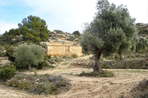 Leilighet i Maella, Zaragoza, Maella - € 13 500 | Ref: 0631 - foto 17