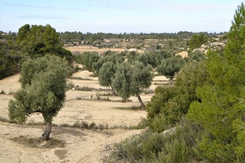Leilighet i Maella, Zaragoza, Maella - € 13 500 | Ref: 0631 - foto 16