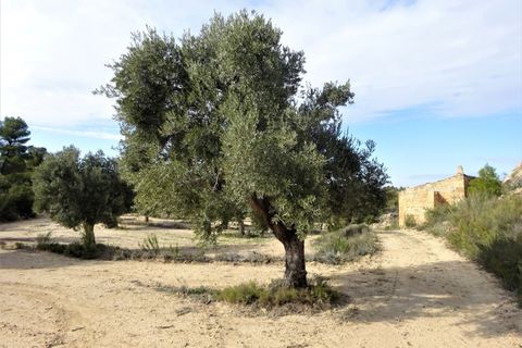 Leilighet i Maella, Zaragoza, Maella - € 13 500 | Ref: 0631 - foto 12