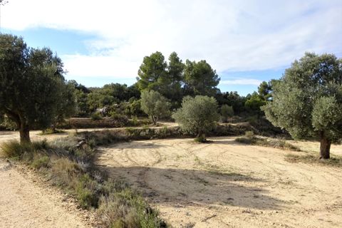 Leilighet i Maella, Zaragoza, Maella - € 13 500 | Ref: 0631 - foto 13