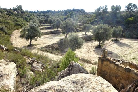 Leilighet i Maella, Zaragoza, Maella - € 13 500 | Ref: 0631 - foto 8