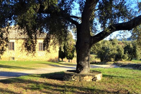 Finca i Calaceite, Teruel, Calaceite - € 65.000 | Ref: 0841 - foto 33
