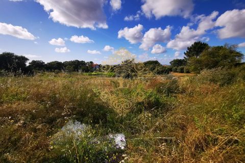Byhus i Sesimbra, Setubal, Sesimbra - € 420.000 | Ref: LPC05/290 - foto 6