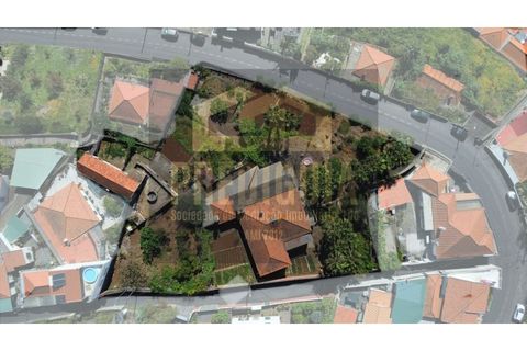 Farm i Sao Roque, Madeira, Sao Roque - € 900.000 | Ref: MAS_634_VG - foto 3