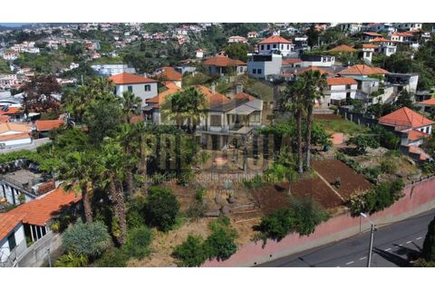 Farm i Sao Roque, Madeira, Sao Roque - € 900.000 | Ref: MAS_634_VG - foto 4