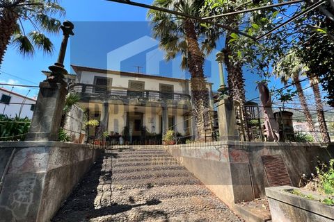 Farm i Sao Roque, Madeira, Sao Roque - € 900.000 | Ref: MAS_634_VG - foto 5