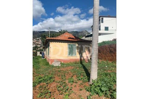 Terra a Sao Roque, Madeira, Sao Roque - € 375.000 | Ref: DEED/643 - foto 3