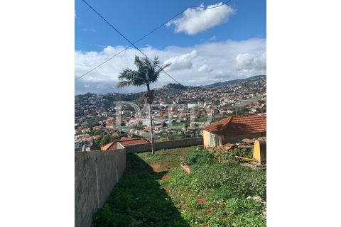 Terra a Sao Roque, Madeira, Sao Roque - € 375.000 | Ref: DEED/643 - foto 2