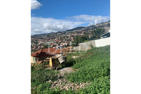 Terra a Sao Roque, Madeira, Sao Roque - € 375.000 | Ref: DEED/643 - foto 4