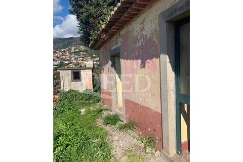 Terra a Sao Roque, Madeira, Sao Roque - € 375.000 | Ref: DEED/643 - foto 5