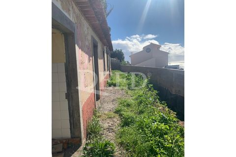 Terra a Sao Roque, Madeira, Sao Roque - € 375.000 | Ref: DEED/643 - foto 6