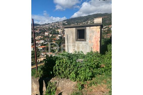 Terra a Sao Roque, Madeira, Sao Roque - € 375.000 | Ref: DEED/643 - foto 7