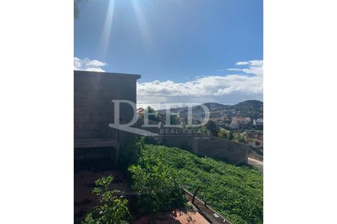 Terra a Sao Roque, Madeira, Sao Roque - € 375.000 | Ref: DEED/643 - foto 8
