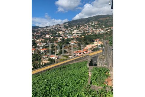 Terra a Sao Roque, Madeira, Sao Roque - € 375.000 | Ref: DEED/643 - foto 9