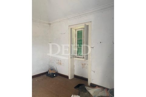 Terra a Sao Roque, Madeira, Sao Roque - € 375.000 | Ref: DEED/643 - foto 10