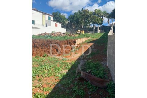 Terra a Sao Roque, Madeira, Sao Roque - € 375.000 | Ref: DEED/643 - foto 13