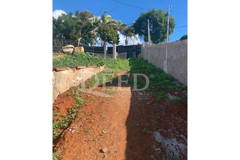 Terra a Sao Roque, Madeira, Sao Roque - € 375.000 | Ref: DEED/643 - foto 15