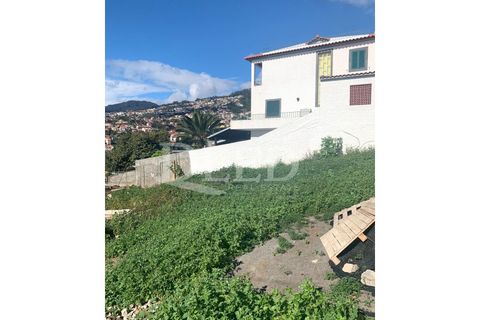 Terra a Sao Roque, Madeira, Sao Roque - € 375.000 | Ref: DEED/643 - foto 16