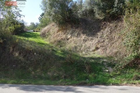 Terra a Cernache, Coimbra, Cernache - € 70.000 | Ref: 4009U - foto 2