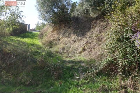 Terra a Cernache, Coimbra, Cernache - € 70.000 | Ref: 4009U - foto 3