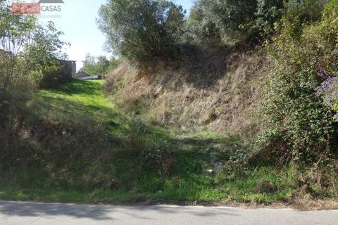 Terra a Cernache, Coimbra, Cernache - € 70.000 | Ref: 4009U - foto 6