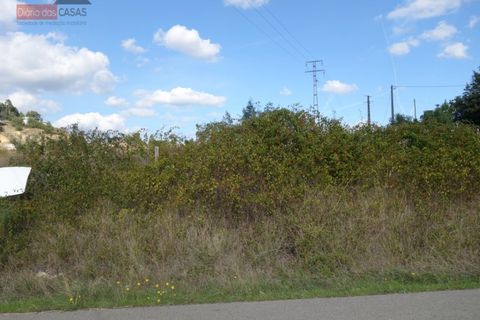 Terra a Cernache, Coimbra, Cernache - € 70.000 | Ref: 4009U - foto 9