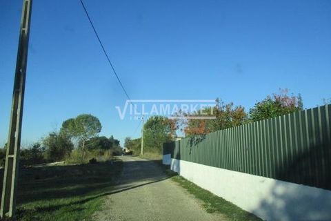 Helårsgrund i Tomar, Santarem, Tomar - € 105.000 | Ref: JFCGD-02025386CA - foto 8