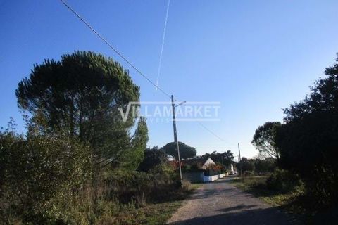 Helårsgrund i Tomar, Santarem, Tomar - € 105.000 | Ref: JFCGD-02025386CA - foto 9