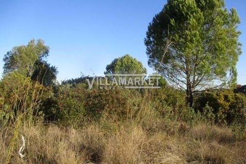 Helårsgrund i Tomar, Santarem, Tomar - € 105.000 | Ref: JFCGD-02025386CA - foto 10