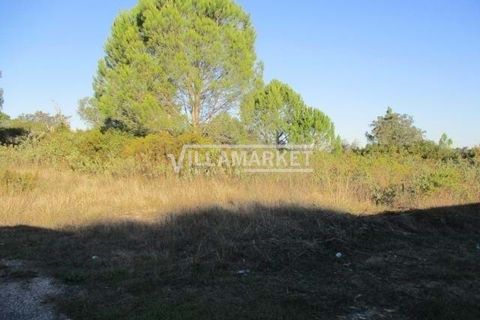 Helårsgrund i Tomar, Santarem, Tomar - € 105.000 | Ref: JFCGD-02025386CA - foto 11