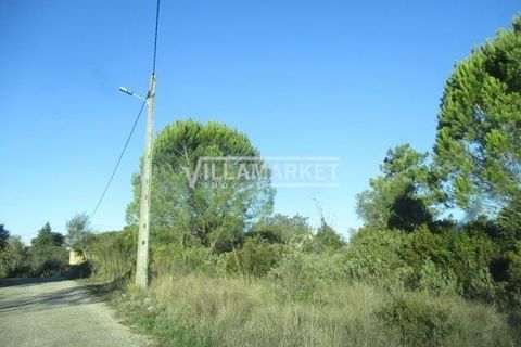 Helårsgrund i Tomar, Santarem, Tomar - € 105.000 | Ref: JFCGD-02025386CA - foto 12