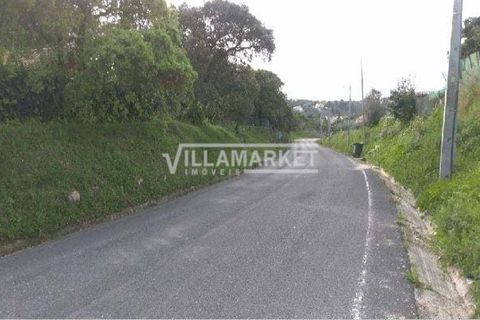 Helårsgrund i Tomar, Santarem, Tomar - € 105.000 | Ref: JFCGD-02025386CA - foto 2