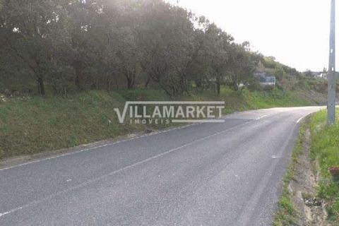 Helårsgrund i Tomar, Santarem, Tomar - € 105.000 | Ref: JFCGD-02025386CA - foto 3