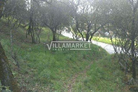 Helårsgrund i Tomar, Santarem, Tomar - € 105.000 | Ref: JFCGD-02025386CA - foto 5