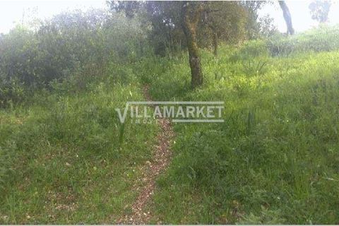 Helårsgrund i Tomar, Santarem, Tomar - € 105.000 | Ref: JFCGD-02025386CA - foto 6